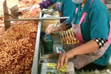 山東郯城：花生米加工生產集散地 ()