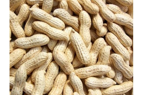 大量求购吉林地区油料米，筛下米，下料米，陈米，土米，冻米