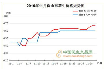 2016年11月份花生行情分析報告 ()