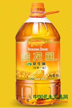 圖片2