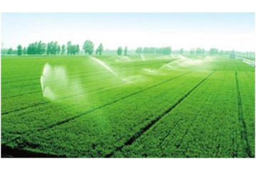 宁夏春小麦播种面积达76.6万亩 ()