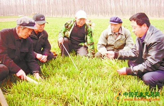 QQ截圖20170420083337
