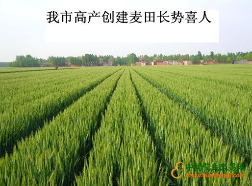 QQ截圖20170421084745