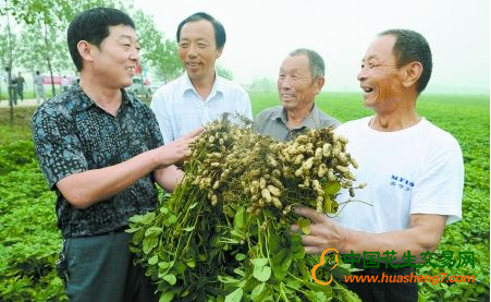 圖片1