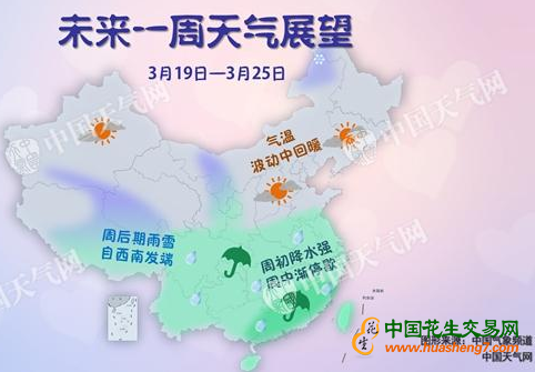 圖片5