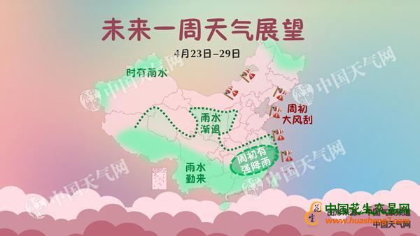 花生產區天氣預報