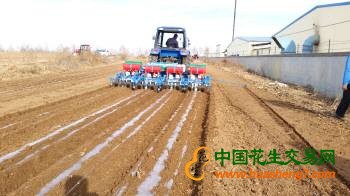 花生播種機
