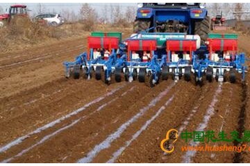 商丘機械化播種花生 ()