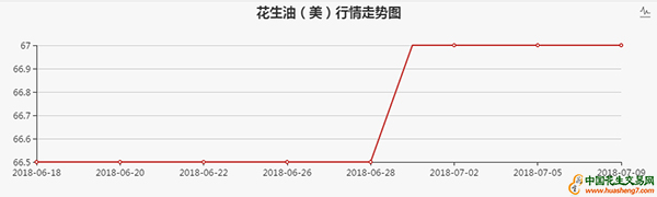 美11