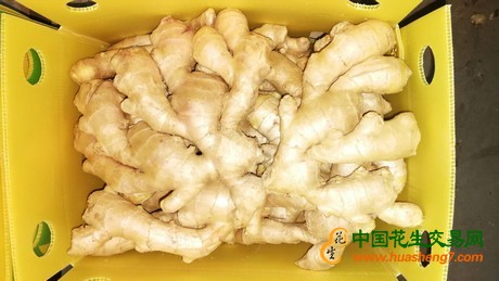 圖片1