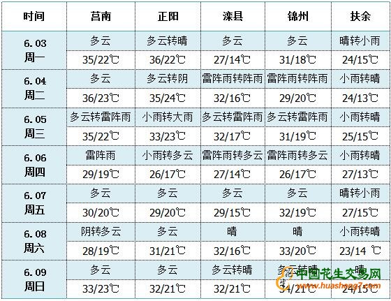 QQ截圖20190603153152