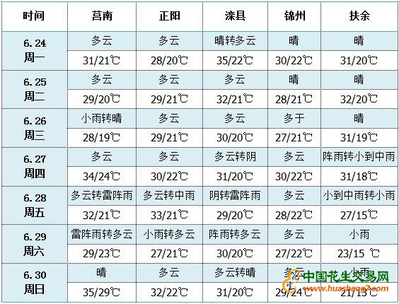 QQ截圖20190624155306