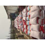 大量出售优质种子米