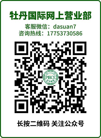 圖片4