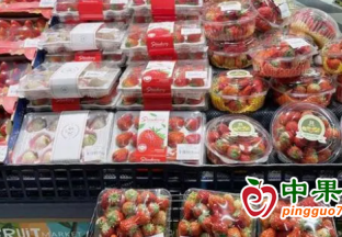扬州水果市场降温了！