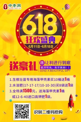618狂欢盛典.jpg