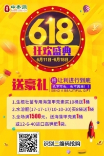 快来！中枣网 “618狂欢盛典”开始了