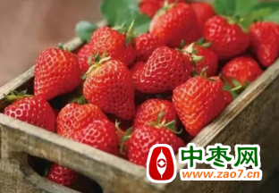 草莓成為水果店暢銷之王