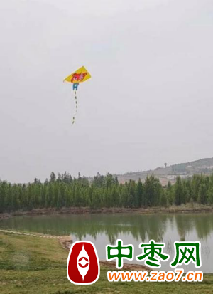 图片 3