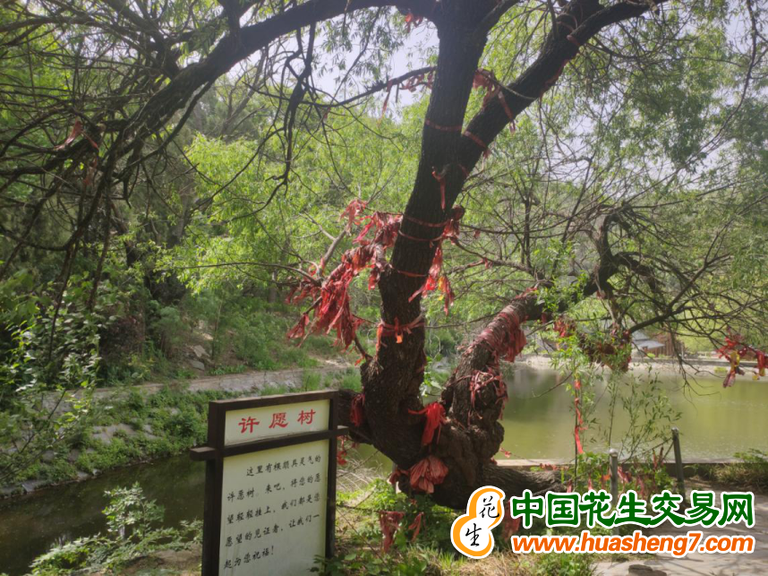 圖片 12