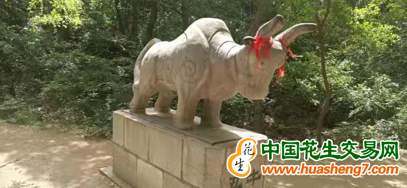 圖片 16