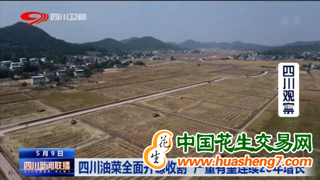 圖片 4