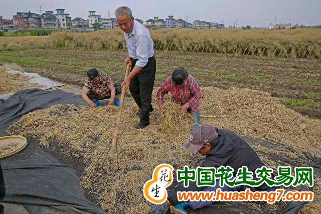 圖片 5