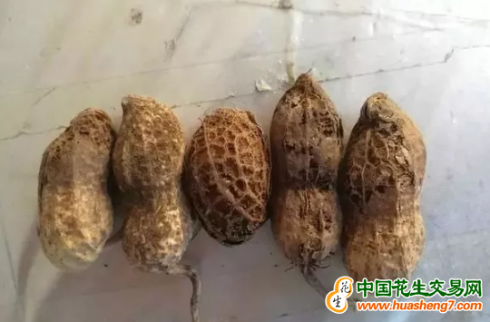 圖片1
