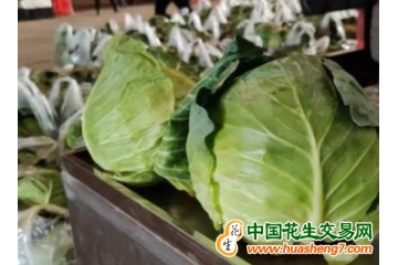 上海：蔬菜供應向好 批發價格回落