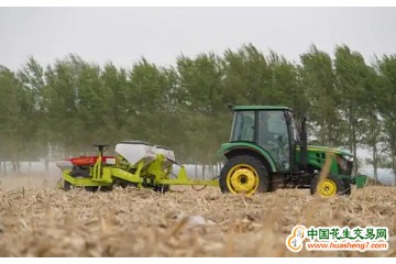 吉林省：玉米播種超3700萬畝 ()