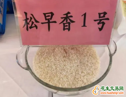 圖片1