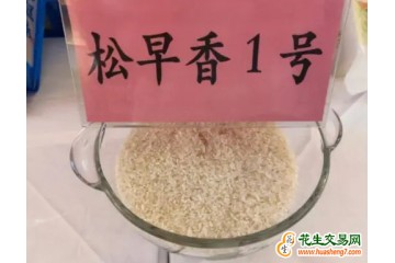 上海閔行：“金獎大米”預訂火熱 ()