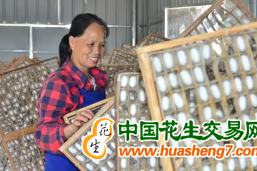 廣西：蠶農售繭收入首次突破200億元 ()