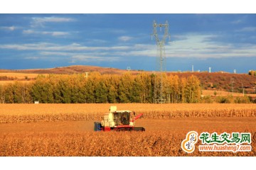 安徽：已收獲秋糧近4347萬畝 ()