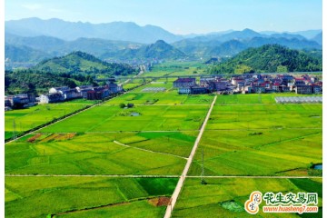 浙江：為300萬畝糧食生產功能區“強筋健骨” ()