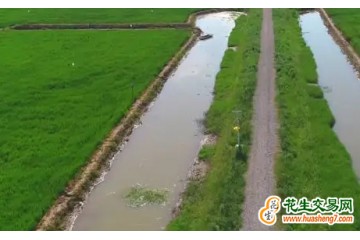 湖南南縣南縣稻蝦米再獲殊榮 ()