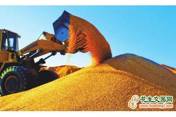黑龍江大慶：今年糧食質量高于去年 ()