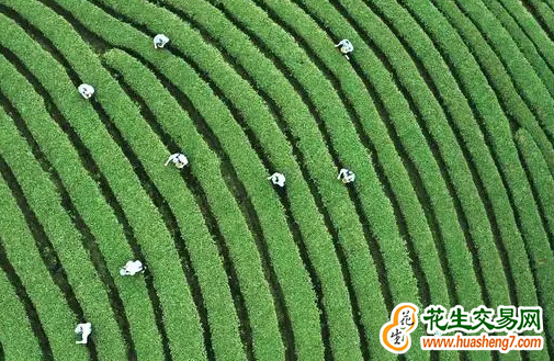 圖片1