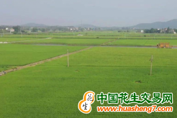安徽：新建200萬畝高標準農田 ()