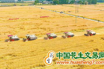 四川：糧食產量連續3年突破700億斤