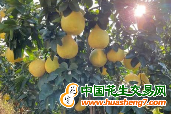 圖片3