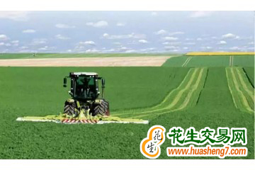 山西：2022年糧食增產8億斤 ()