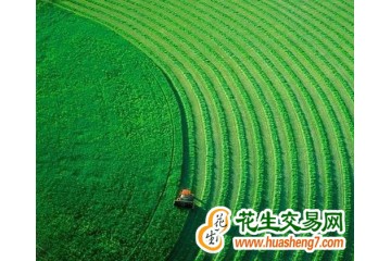 广东：2022年粮食产量达1291.5万吨 ()
