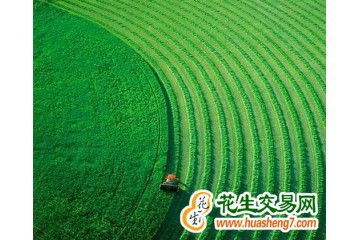 廣東：2022年糧食產量達1291.5萬噸 ()