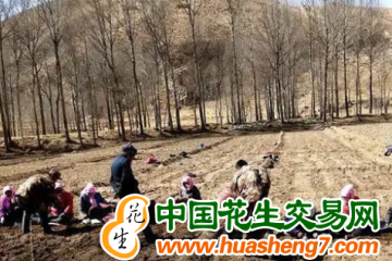 青海民和：全力保障春耕備耕生產 ()