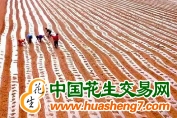 河南長垣市：搶抓農時，打好春耕第一仗 ()