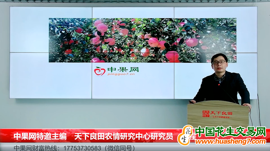 圖片5