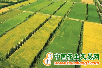 新疆：2023年将新建410万亩高标准农田 ()