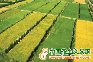 新疆：2023年將新建410萬畝高標準農田 ()