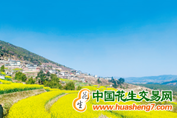 云南昆明：保小春豐收備大春生產 ()